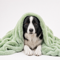 Hug Blanket