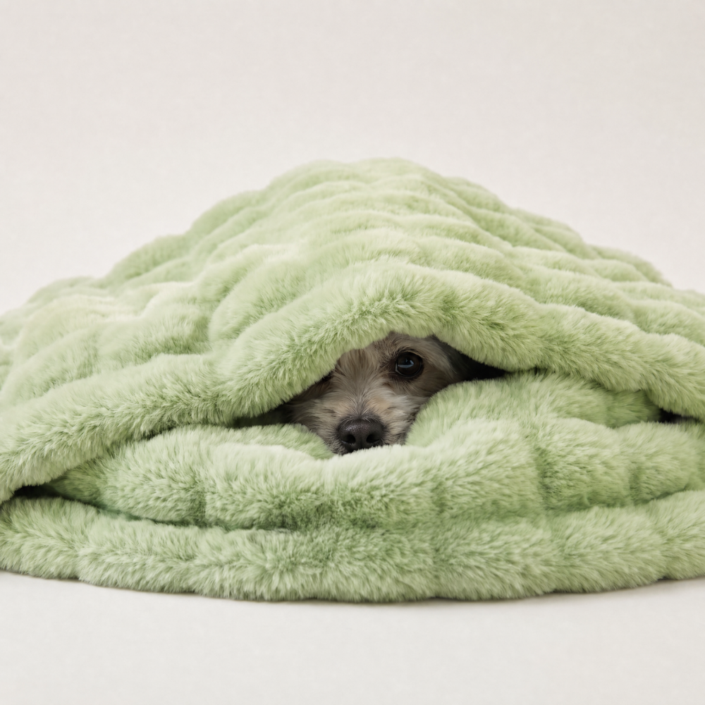 Hug Blanket