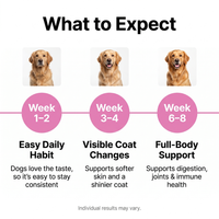 Daily Doggy Super Supplement